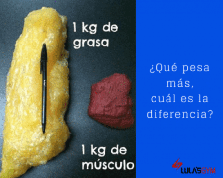 Masa grasa vs Masa muscular