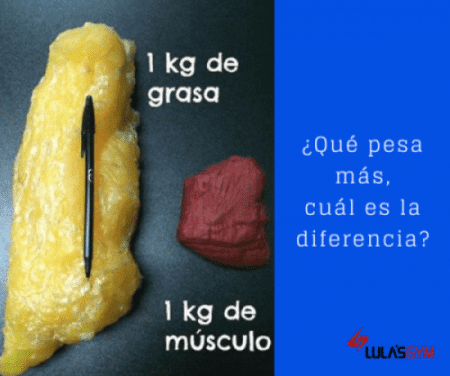 masa grasa vs masa magra