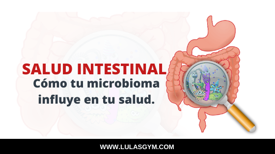 Cómo tu salud intestinal afecta el riesgo de enfermedad.