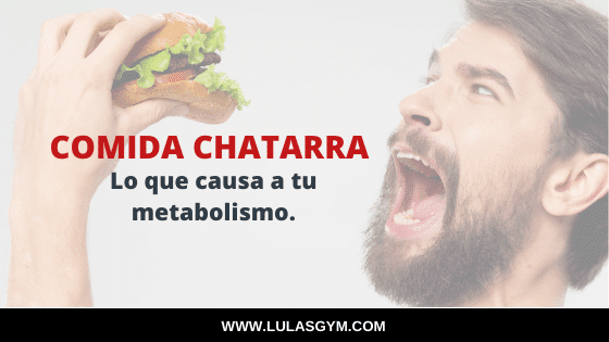 Comida Chatarra : Lo que causa  a  tu Metabolismo